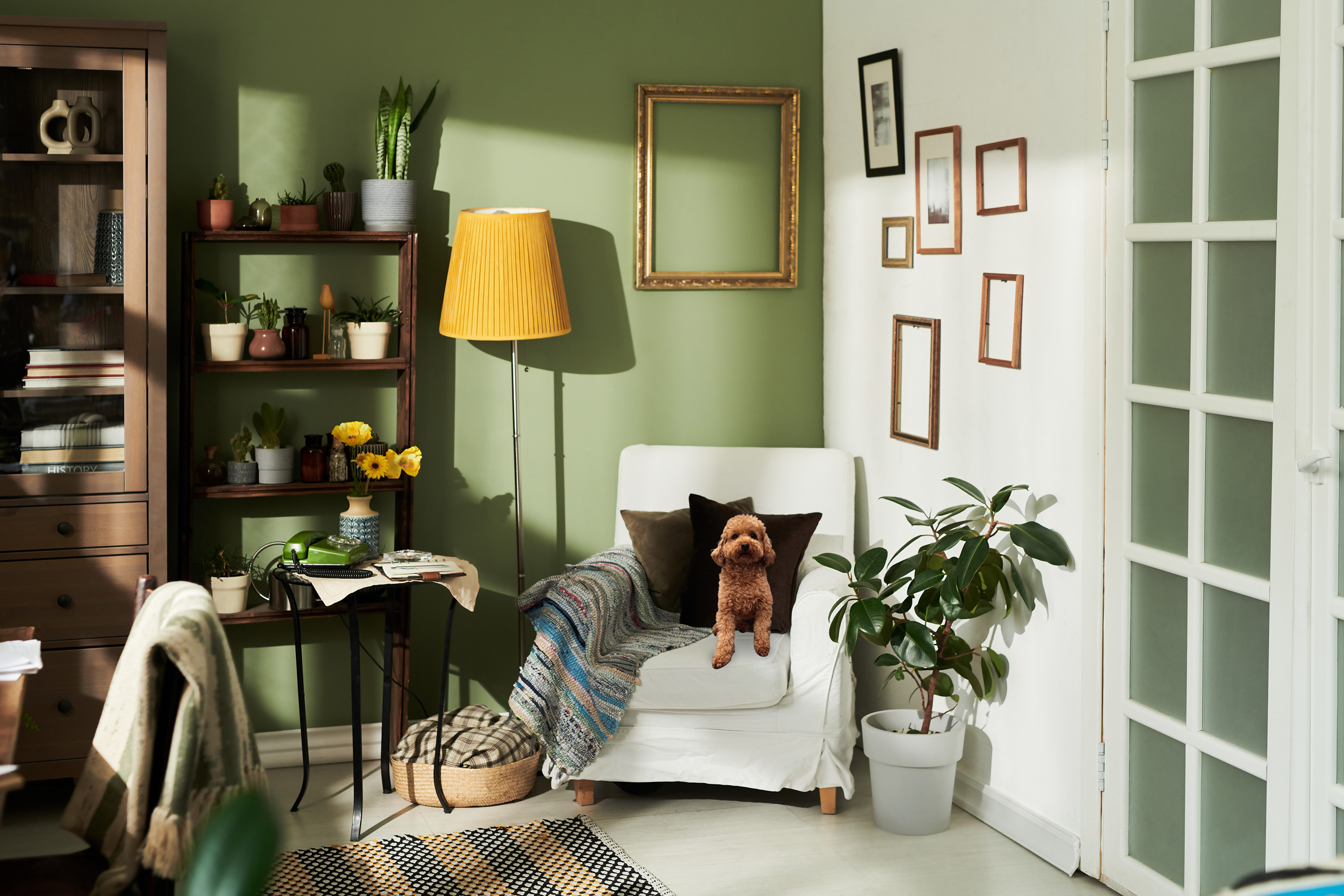 How It Works for Dreamers